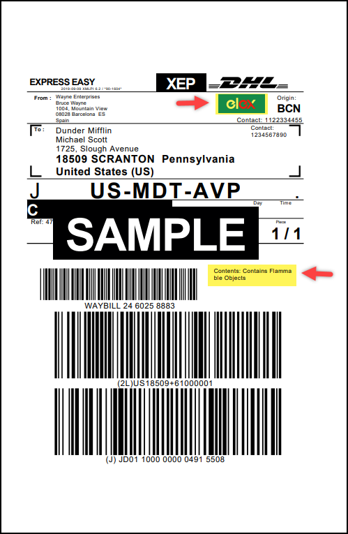 Customizing DHL Shipping Label | Sample DHL Shipping Label