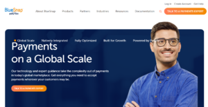 BlueSnap payment gateways