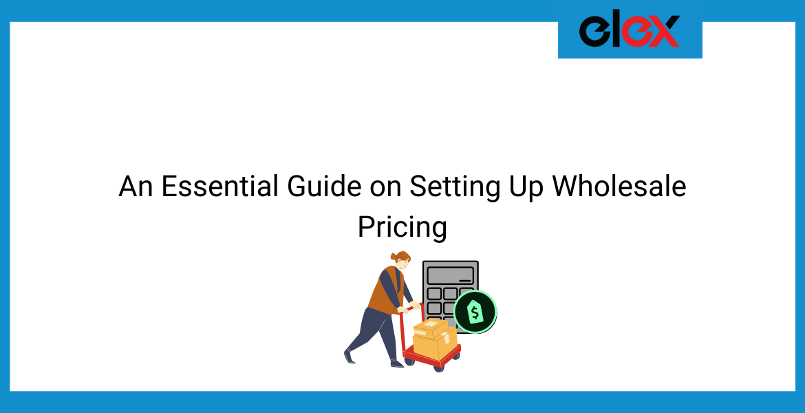 An Essential Guide on Setting Up Wholesale Pricing | Blog banner