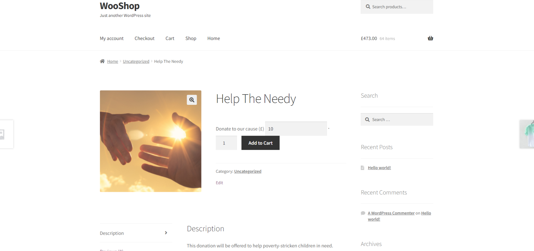 Donation product page with the ELEX Name Your Price plugin running
