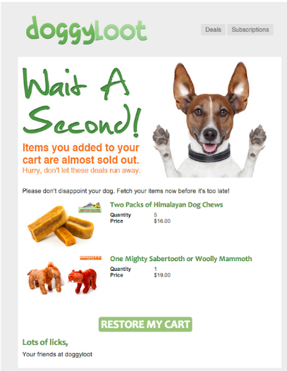 DoggyLoot abandoned cart email