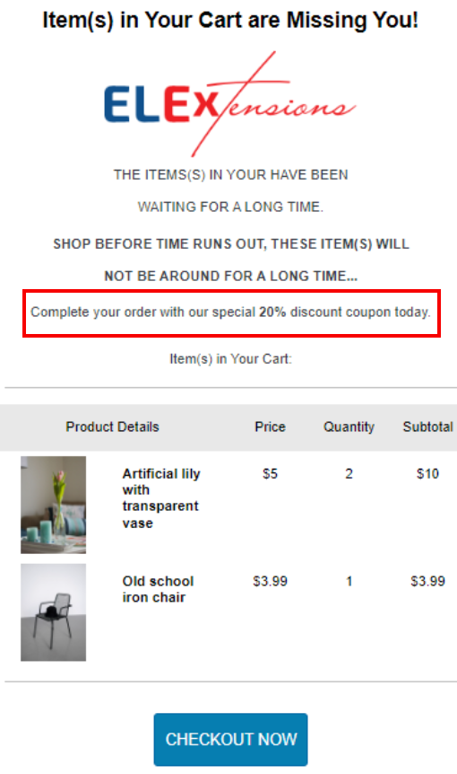 Demo recovery email with a dynamic coupon attached
